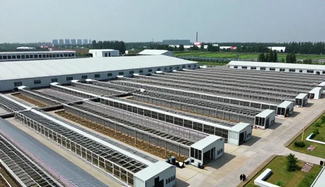 上海岸百澳网络科技有限公司服务短视频运营客户,提供技术维护支持