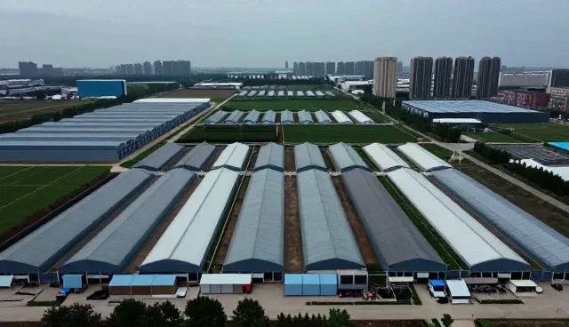 微信公众号搭建中的常见问题及维护策略